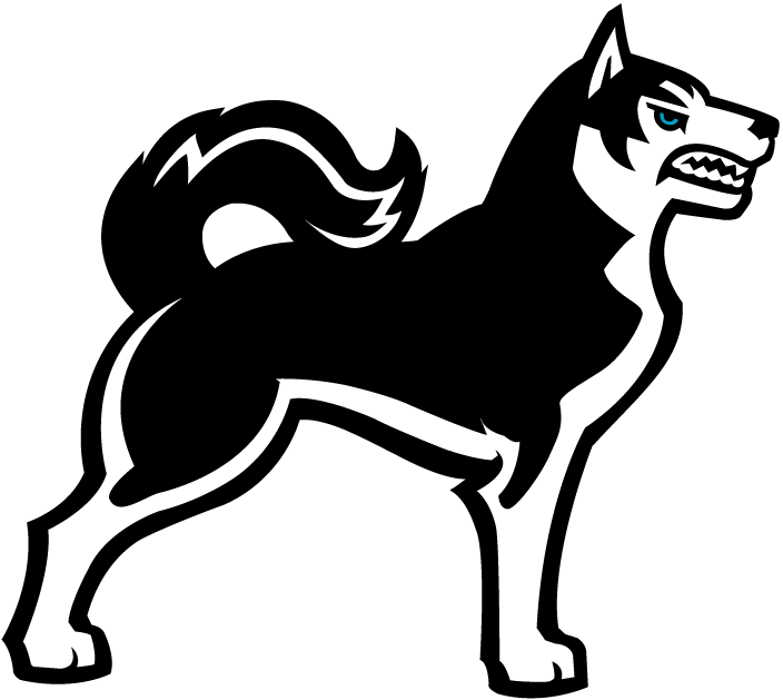 Northeastern Huskies 2001-2006 Alternate Logo t shirts iron on transfers v3